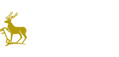 University Of Surrey