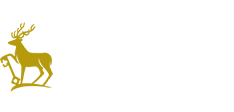 University Of Surrey